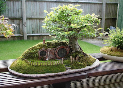 Deretan Pohon Bonsai Jepang yang mengagumkan