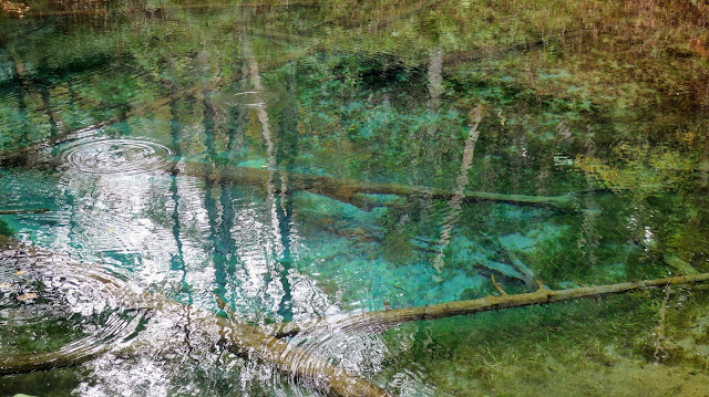 神の子池 北海道 パワースポット