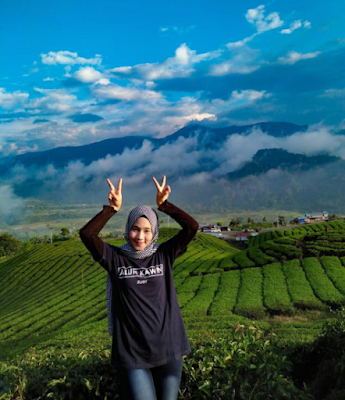 Potret Keindahan Kebun Teh Panjang Solok