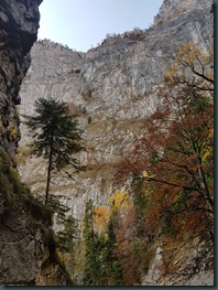 20181020_112247