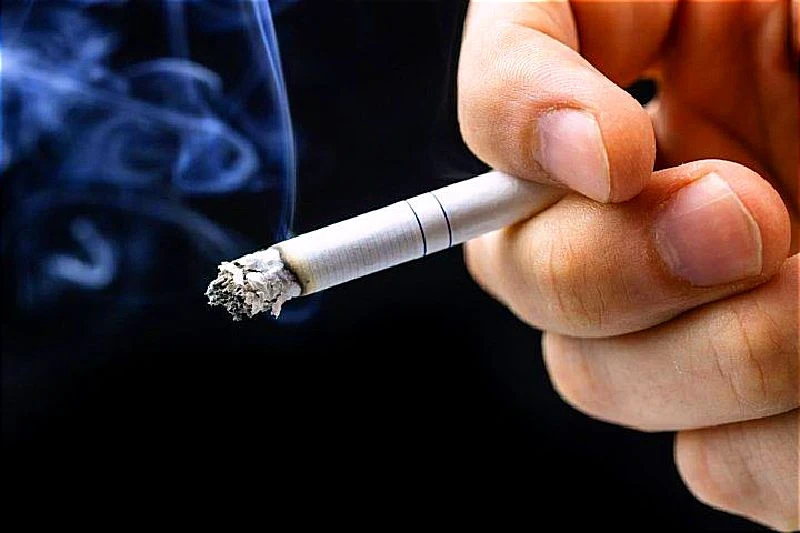 El cigarro mata más de 600 millones de árboles cada año