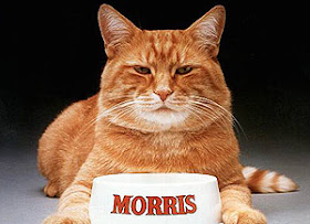 gambar Morris the cat