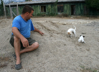 Playing with the puppies