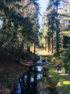 Cragside in Northumberland, England --Operation Awesome #20Questions in #2020 of #NewBook Debut Author Michael Dennis