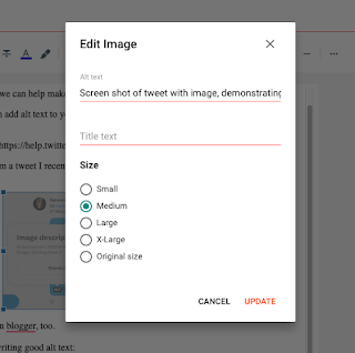 Edit image screen from blogger showing where alt text can be added.