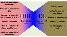 Lipoprotein cholesterol