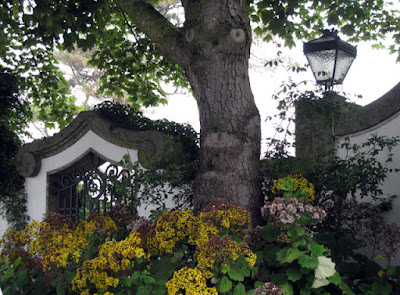 Portão e flores e árvores na frente