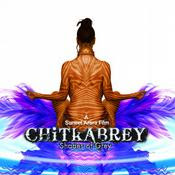 Chitkabrey - Shades of Grey 2011 Hindi Movie Cast And Crew