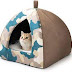 kitten bed