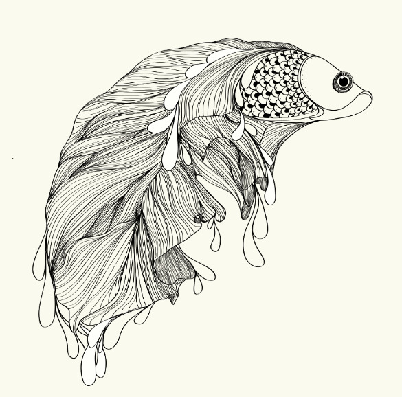 sketsa gambar ikan