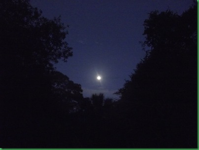 Laundry, beach, full moon 055