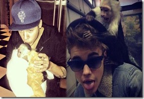 justin-monyet (1)