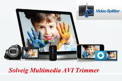 SolveigMM AVI Trimmer 2.0.1008.31 Portable