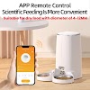 Simplify Mealtime with the ROJECO Automatic Cat Feeder: A Must-Have for Pet Owners   