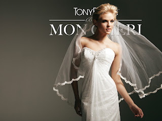 Tony Bowls 2013 Spring Bridal Wedding Dresses