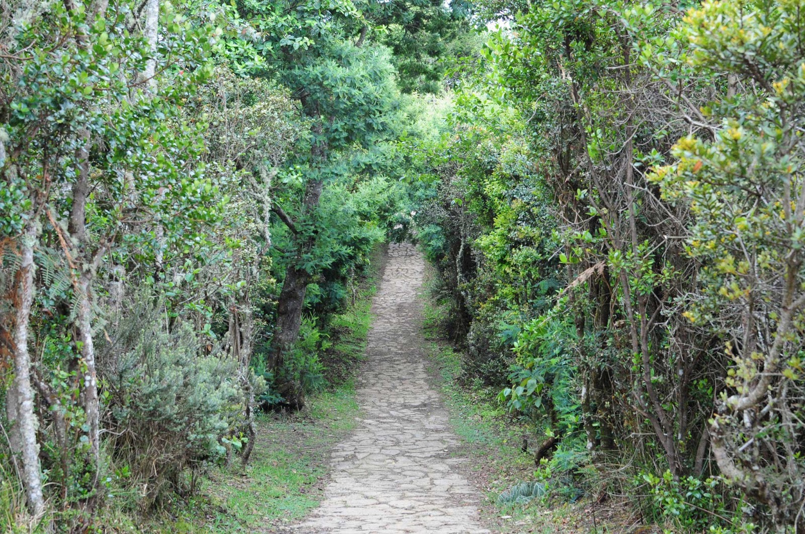 Pionono es un sitio para hacer turismo cerca a Bogotá