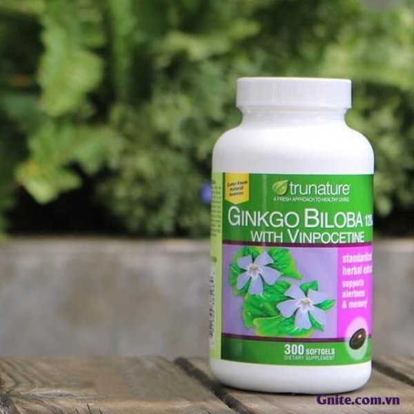 Viên Uống Bổ Não Ginkgo Biloba