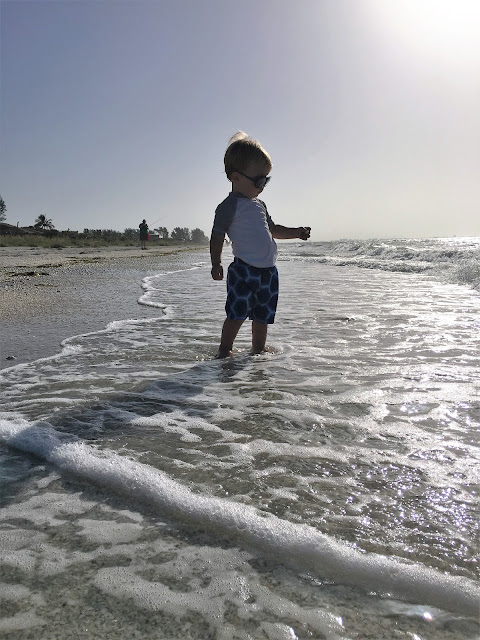 Sanibel and Captiva Toddler Travel Guide