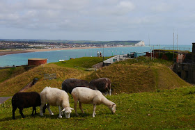 New Haven Fort, East Sussex is a fun family day out. There are lots of interactive exhibits to explore