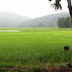 Thane, 250 Acres, Agricultural Plot / Land for Sale, Ghodbundar Road, Thane, Maharashtra.