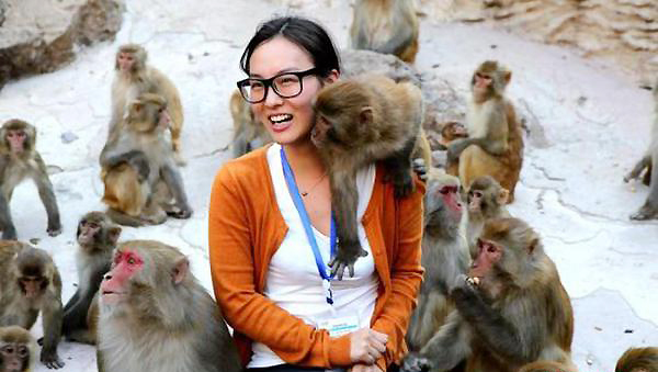 Monyet raba payudara pelancong wanita
