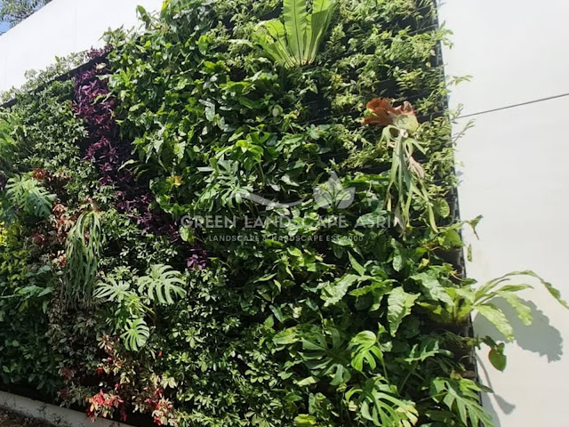 Jasa Pembuatan Vertical Garden Tegal - Tukang Taman Vertikal Profesional