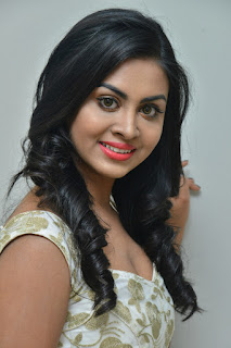 Meghla Mukta at Sakalakala Vallabhudu Movie Press Meet