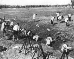 As fazendas coletivas, campos comunitários ou assentamentos não se distinguiam dos campos de concentração