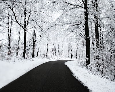 Snow Road Desktop Background