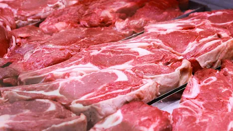 Common Habits That Seriously Damage Your Kidneys: meat