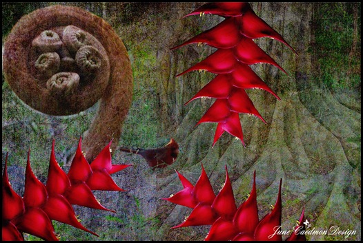 Nature_ColorBurn