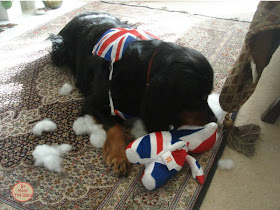 14 Molly The Wally Wrestles Wenlock The London 2012 Olympic Games Mascot.