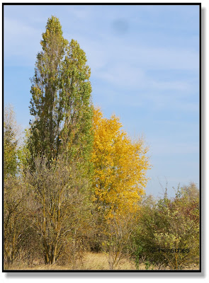 bunt war der Herbst