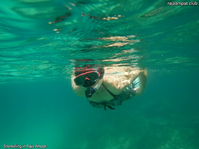 Snorkeling in Waigeo island of Raja Ampat, Indonesia