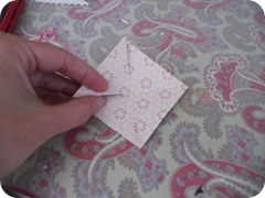 DSCN0211