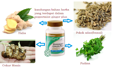 Atasi Morning Sickness dengan Peppermint Ginger Plus Shaklee