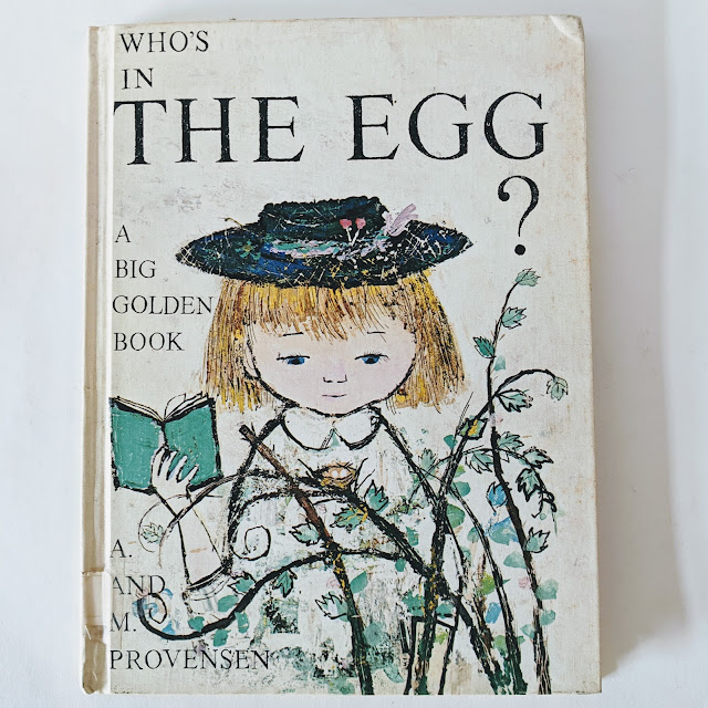 picture of book cover with illustrations