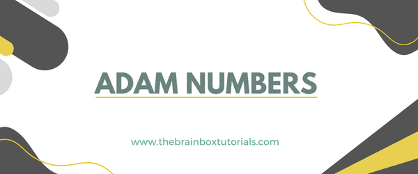 Adam Number
