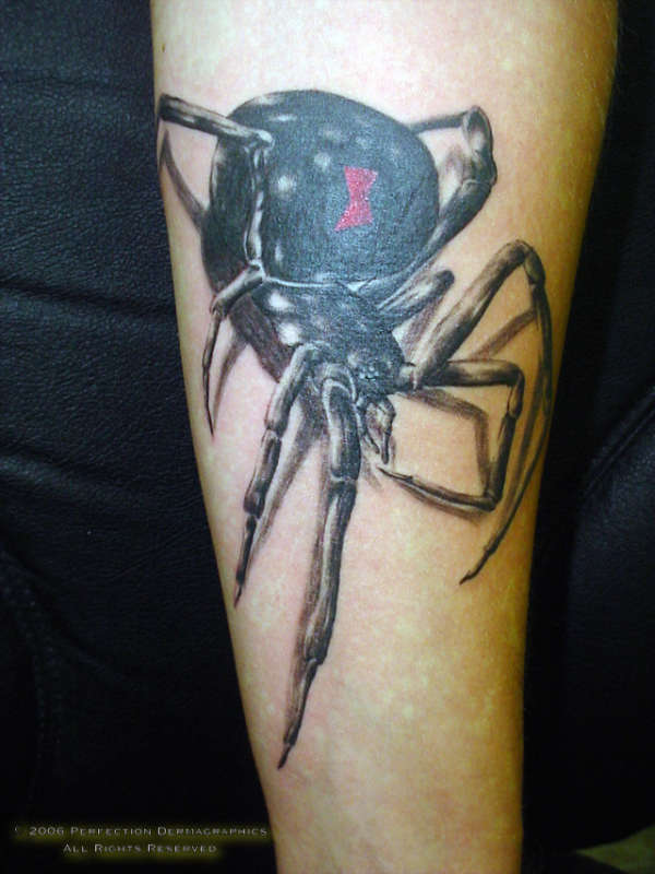 Labels: tattoo spider