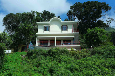 homestay in munnar in tea estate