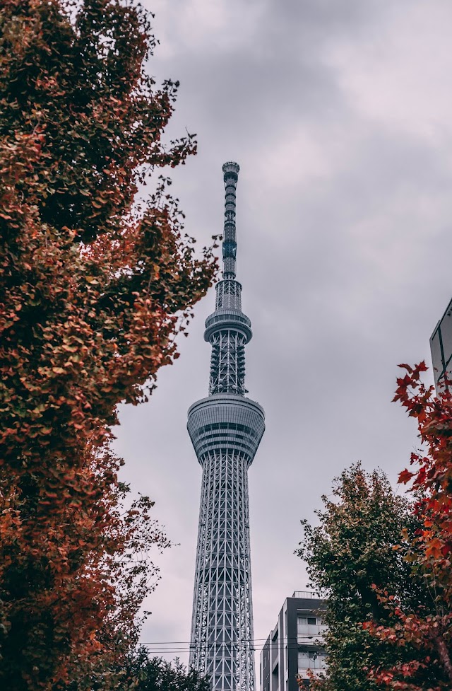 World Second Highest Tower:Tokyo Skytree