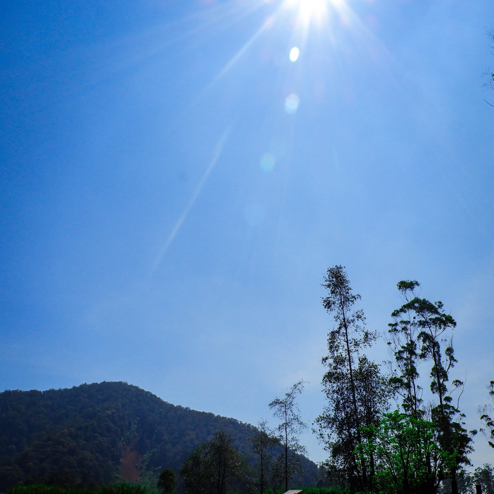 tempat wisata soreang 7 Tips Mendekati Rusa di Ranca Upas Ciwidey Bandung tempat wisata soreang 7 Tips Mendekati Rusa di Ranca Upas Ciwidey Bandung