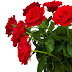 Rose Day Facebook Status/Rose Day Facebook Status 2013