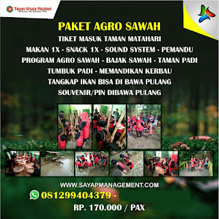 paket agro sawah taman wisata matahari