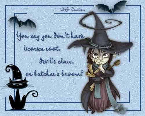 Thirteen Witches Made A Wish