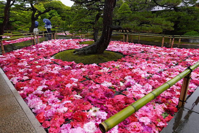 島根県松江市八束町波入 由志園