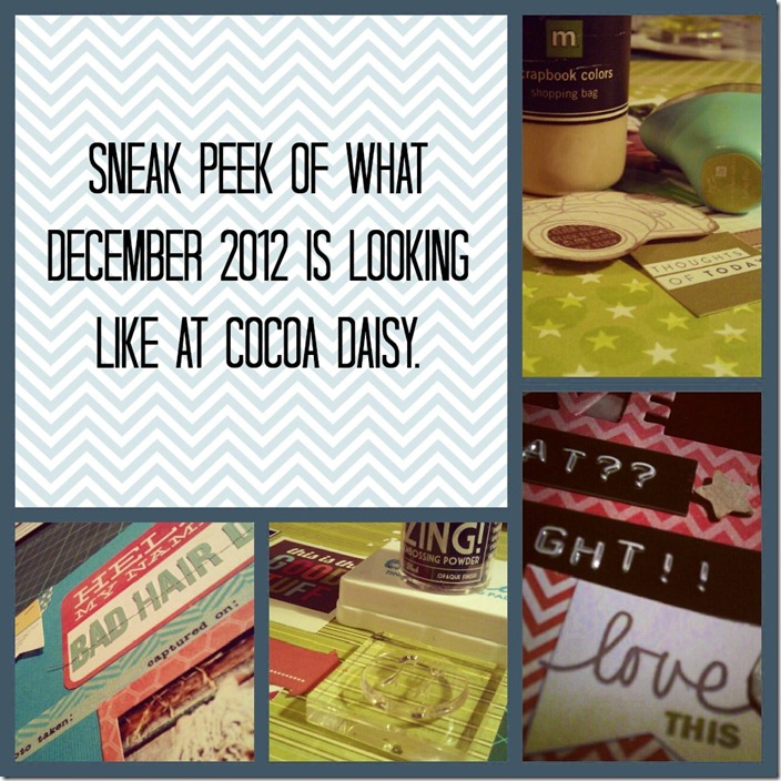 CDDECCollage