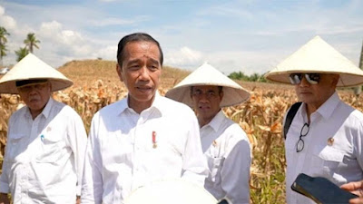 Respons Jokowi Soal Putusan MK: Tuduhan Kecurangan, Ketidaknetralan Pemerintah Tak Terbukti