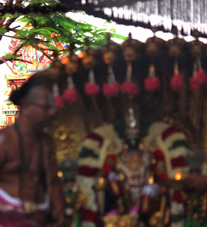 Sesha vahanam,Day 02,Brahmotsavam, Thiruvallikeni, Sri PArthasarathy Perumal, Temple, 2017, Video, Divya Prabhandam,Utsavam,