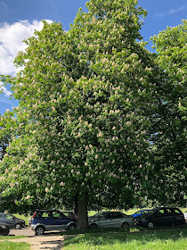 Ealing Common